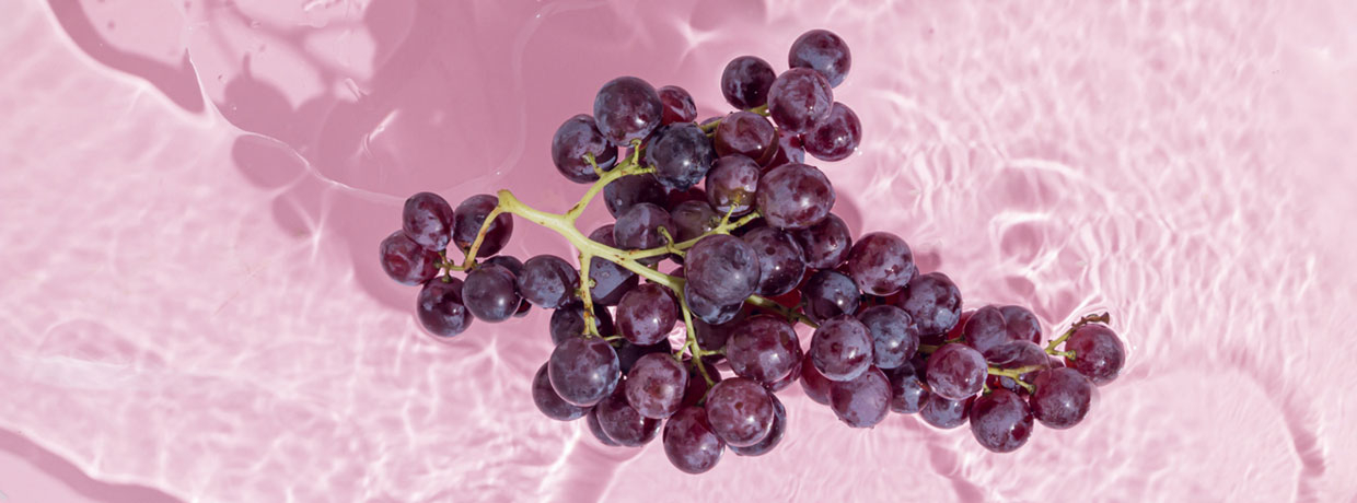 Was ist Trans-Resveratrol? Vorteile, Herkunft und Anwendung