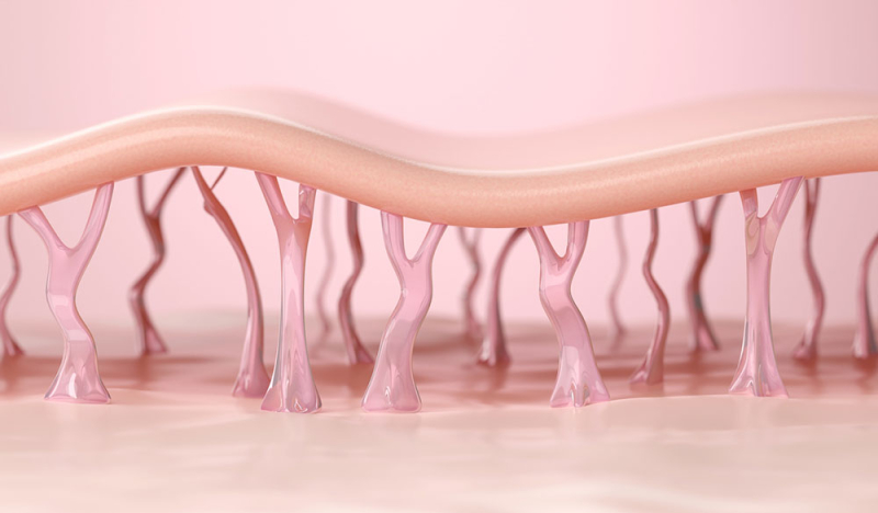 Beauty-Geheimnis Kollagen: Was kann der Anti-Aging Allrounder?
